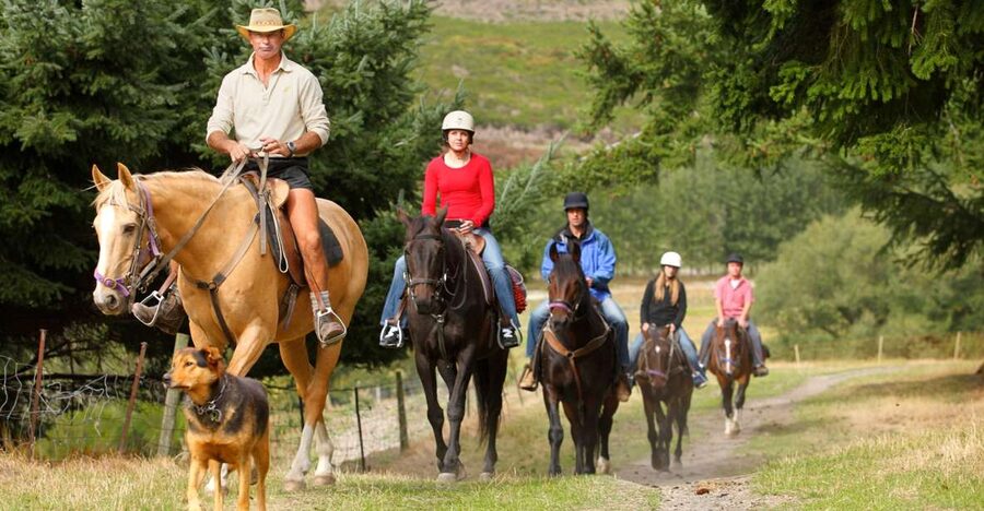 Queenstown: Walter Peak Horse Trek & Queenstown Lake Cruise - A lake crossing before the saddle