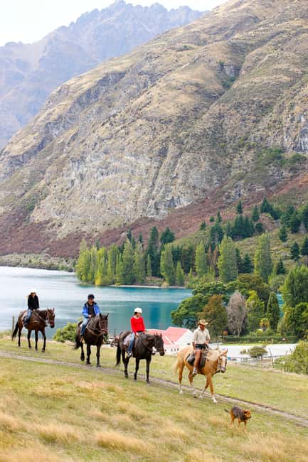 Queenstown: Walter Peak Horse Trek & Queenstown Lake Cruise - Meeting the horses at Walter Peak