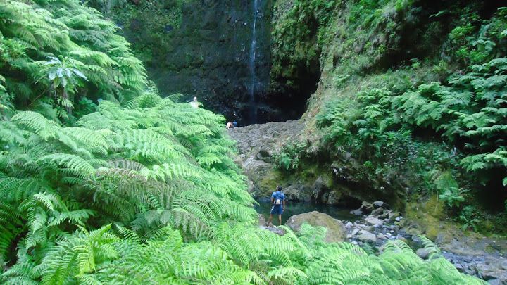 Queimadas Natural Park 5-Hour Guided Hike - Following the levada through Madeira’s interior