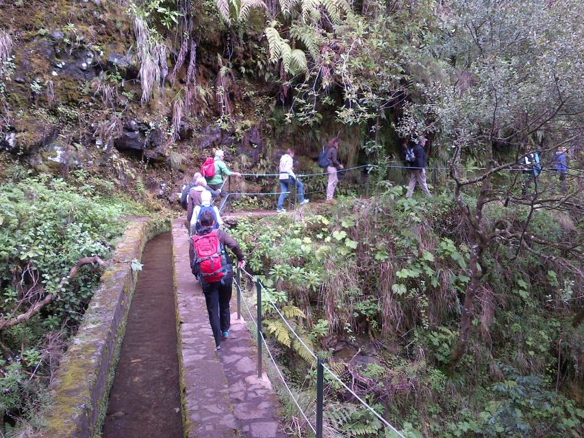 Queimadas Natural Park 5-Hour Guided Hike - Waterfalls, valleys, and changing weather