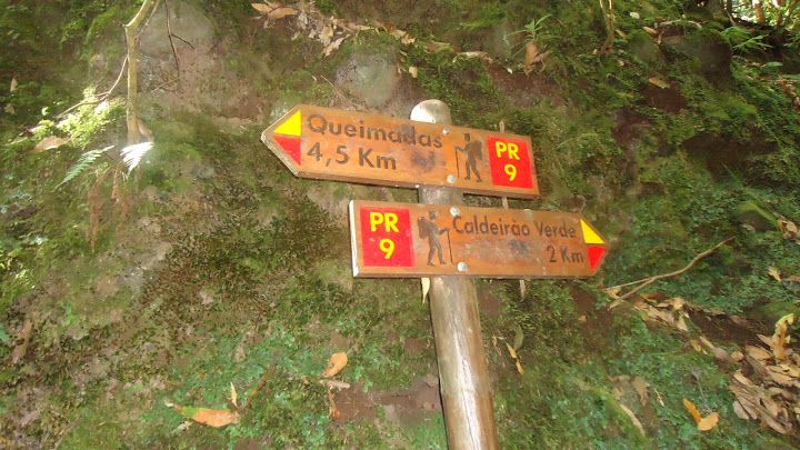 Queimadas Natural Park 5-Hour Guided Hike - What the guide adds to the day
