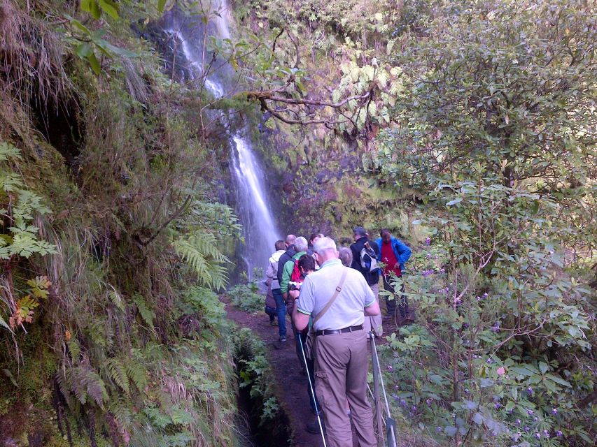 Queimadas Natural Park 5-Hour Guided Hike - Is $48 good value?