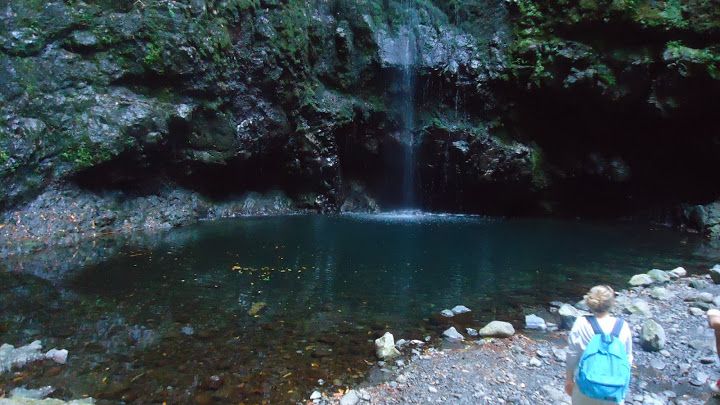 Queimadas Natural Park 5-Hour Guided Hike - Who should book this Madeira hike?
