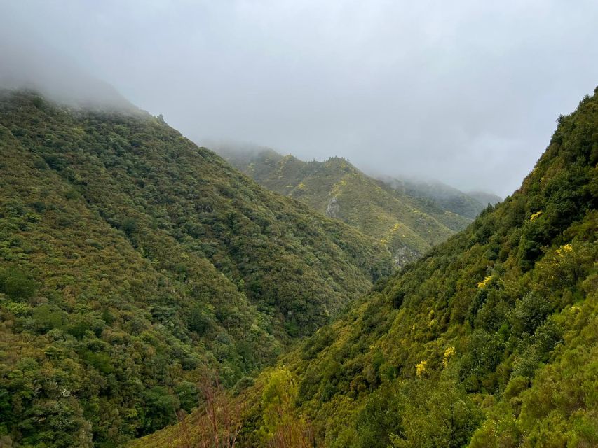 Rabaçal: 25 Fontes & Risco Levada Hiking Transfer - Why this transfer works for Rabaçal