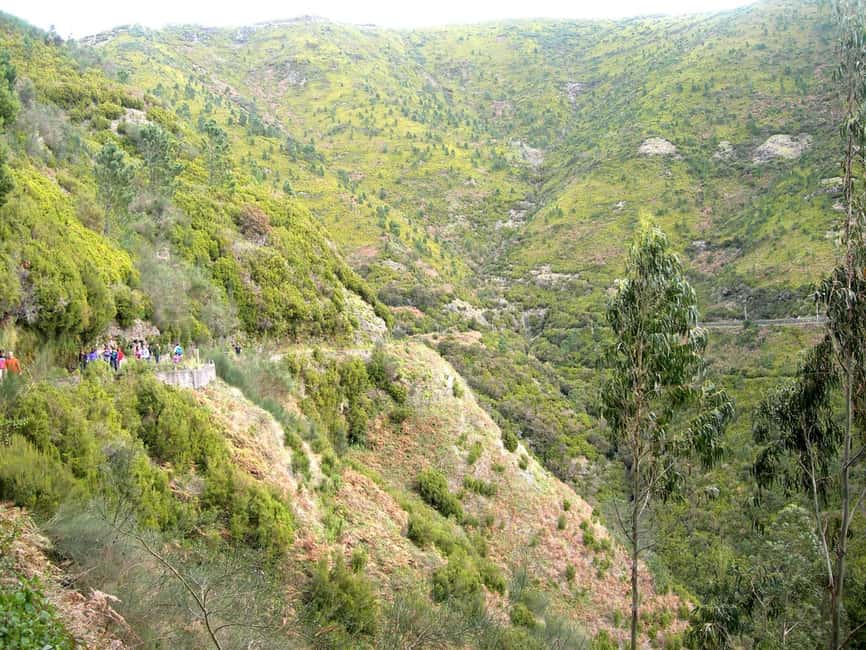 Rabaçal: 25 Fontes & Risco Levada Hiking Transfer - Following the Risco route first