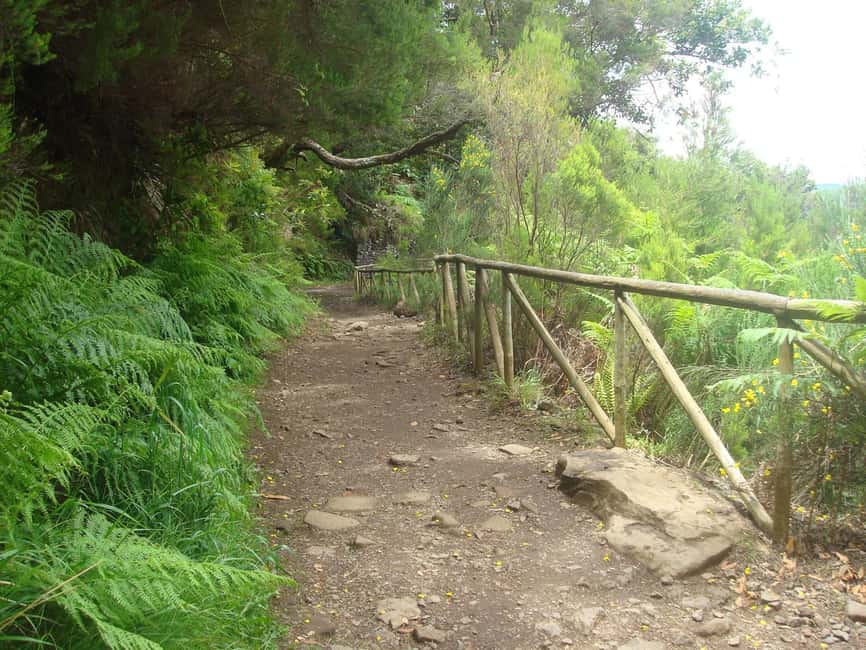 Rabaçal: 25 Fontes & Risco Levada Hiking Transfer - The 25 Fontes waterfall and levada path
