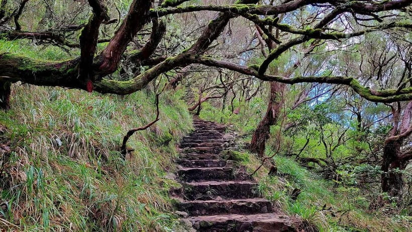 Rabaçal: 25 Fontes & Risco Levada Hiking Transfer - Five hours to walk at your own pace