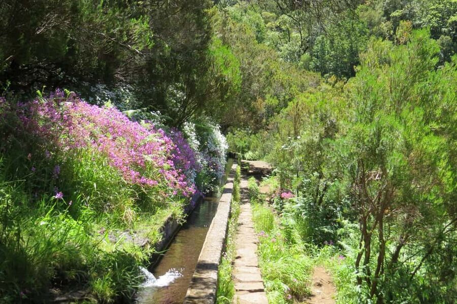 Rabaçal: 25 Fontes & Risco Levada Hiking Transfer - What the walking conditions are really like