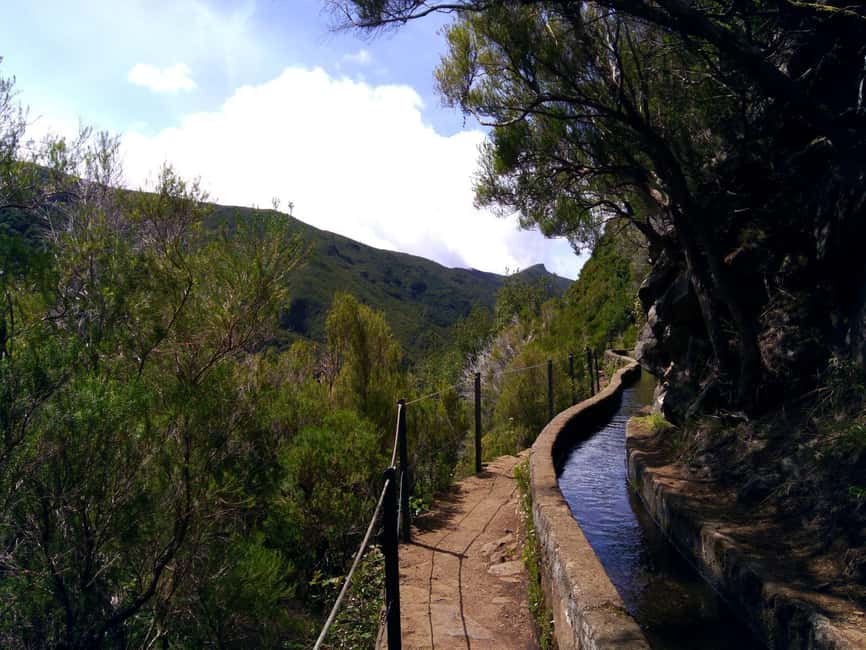 Rabaçal: 25 Fontes & Risco Levada Hiking Transfer - Shared transport and the value of the price