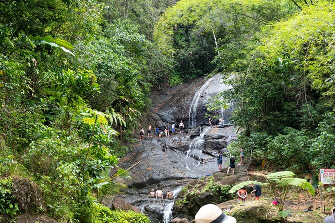 Rainforest Hike and Waterfall Safari - The 7:20 a.m. start from Gros Islet