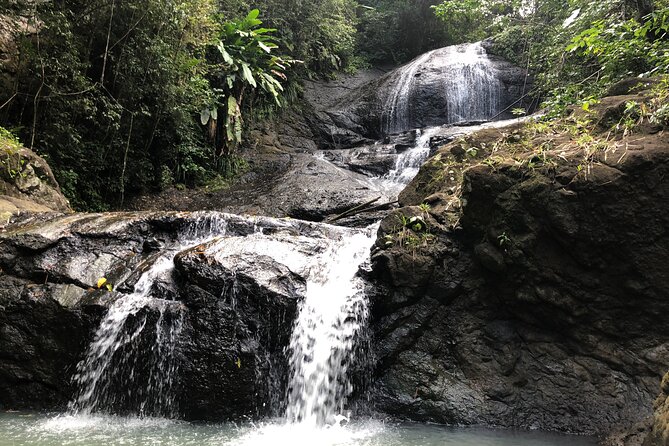 Rainforest Hike and Waterfall Safari - Fruit plantations, plants, and local island life