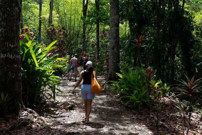 Rainforest Hike and Waterfall Safari - Venus Estate Waterfall near Anse La Raye