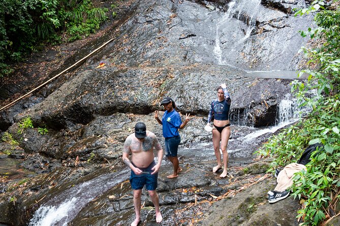 Rainforest Hike and Waterfall Safari - Is $66.67 good value?