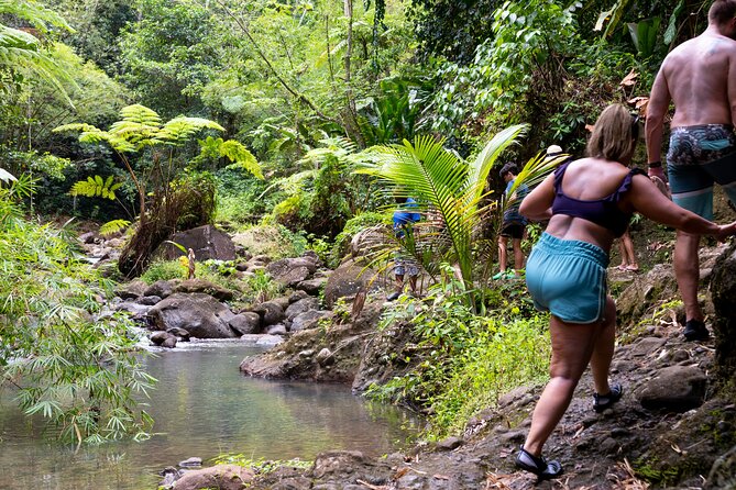 Rainforest Hike and Waterfall Safari - Open-air 4x4 roads through the island interior