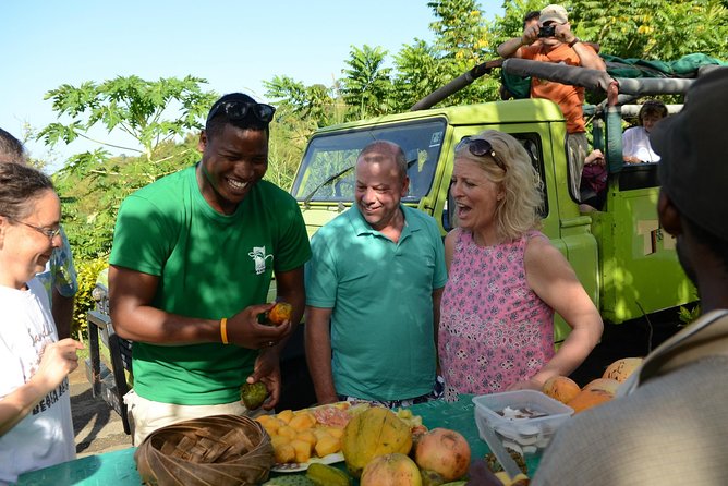Rainforest Hike & Waterfall Safari St. Lucia From Castries - A Four-Hour Route From Castries to the Rainforest