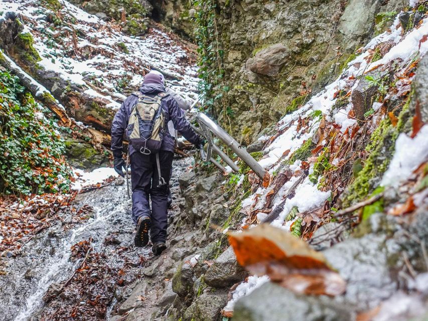 Ram Gorge Hiking Adventure - Entering Rám Gorge through beech and oak forest