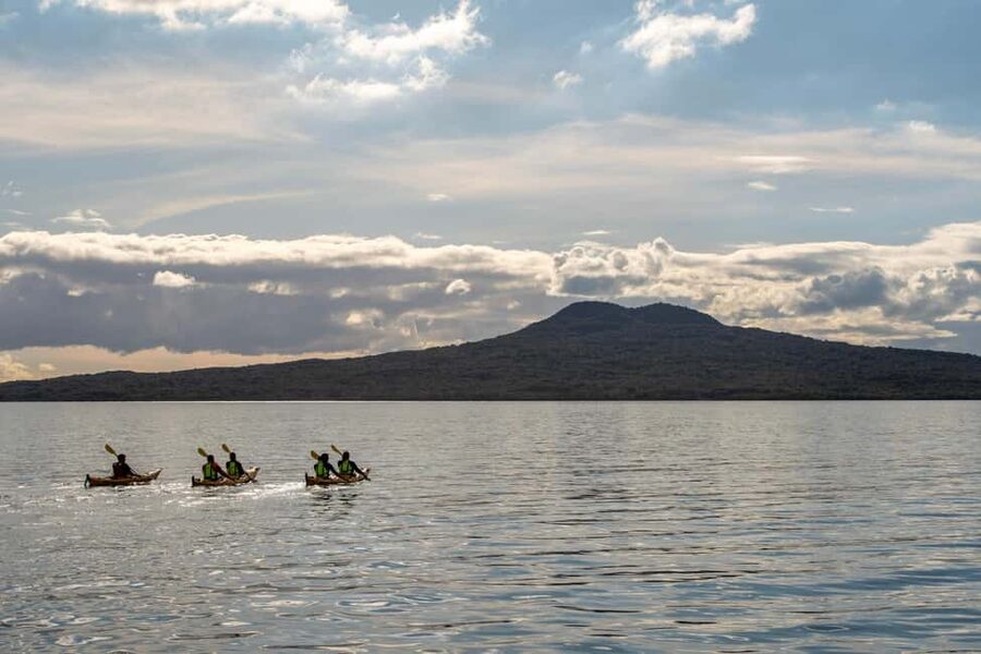 Rangitoto Island: Sea Kayak & Summit Hike Day Trip - Why this Rangitoto day trip feels different