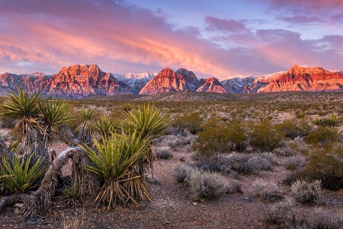 Red Rock Canyon Hike with Transport from Las Vegas - Key points to know before you book