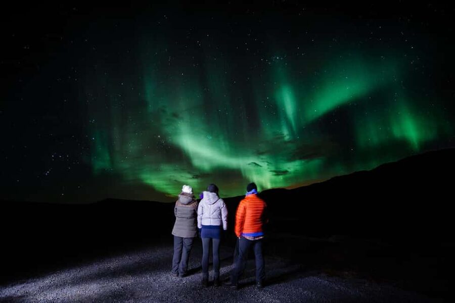 Reykjavik: South Coast, Glacier Hike & Northern Lights Combo - A dinner break before the Northern Lights hunt