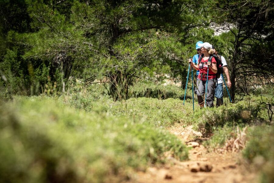 Rhodes: Hiking Tour to the Summit of Akramitis with Photos - Who should book this hike?