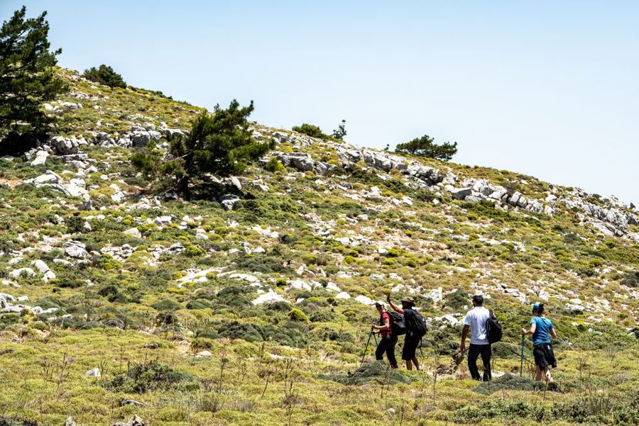 Rhodes: Hiking Tour to the Summit of Akramitis with Photos - The final push to Akramitis summit
