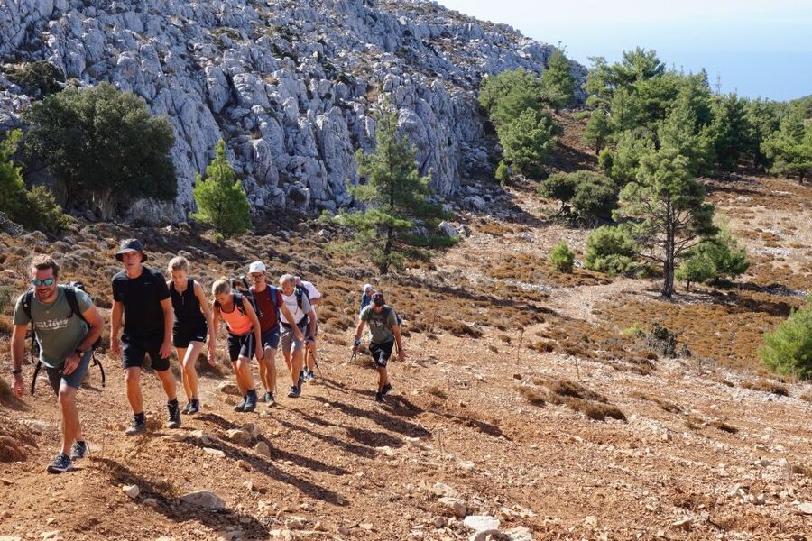 Rhodes: Hiking Tour to the Summit of Akramitis with Photos - Spring flowers and protected nature