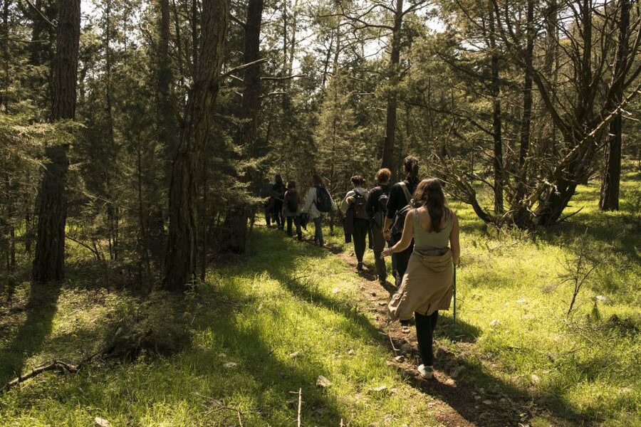 Rhodes: Hiking Tour to the Summit of Akramitis with Photos - What $76 buys you