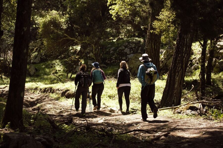 Rhodes: Profitis Ilias Guided Sunset Hike - Returning to Salakos by headlamp