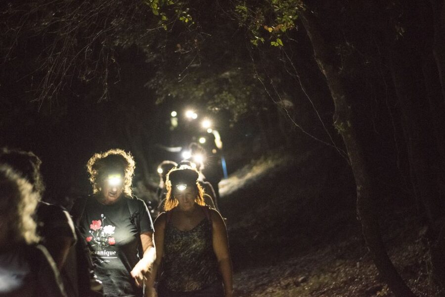 Rhodes: Profitis Ilias Guided Sunset Hike - Is the $58 price good value?