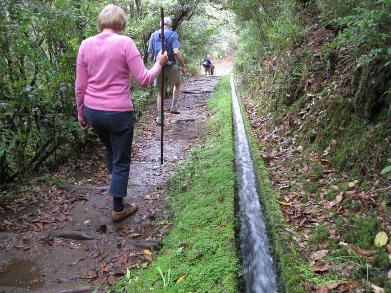 Ribeiro Frio / Portela Full day hike - Key points to know before you book