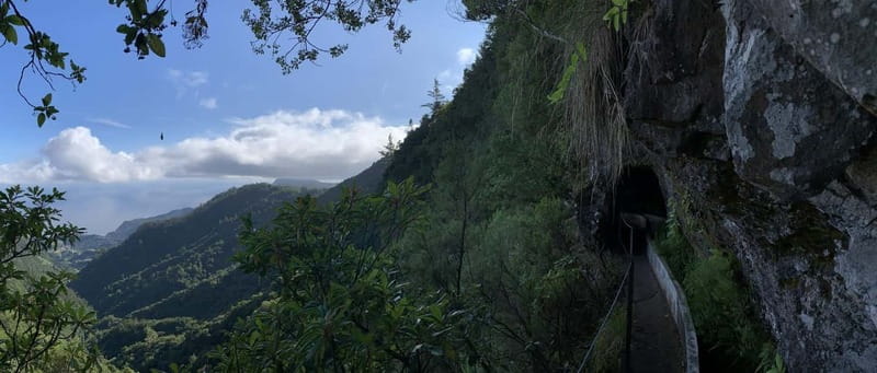 Ribeiro Frio / Portela Full day hike - Walking beside Madeira’s slow-moving levada