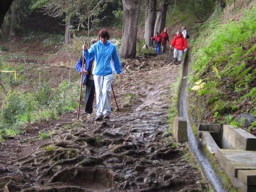 Ribeiro Frio / Portela Full day hike - Is the $53 price fair?