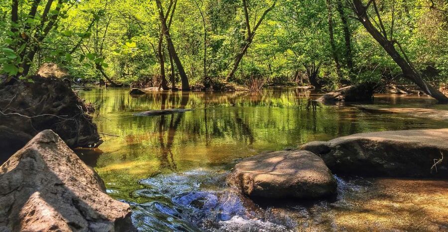 Richmond: Guided Hike in James River Park - Crossing to Brown’s Island and the Pipeline Walk