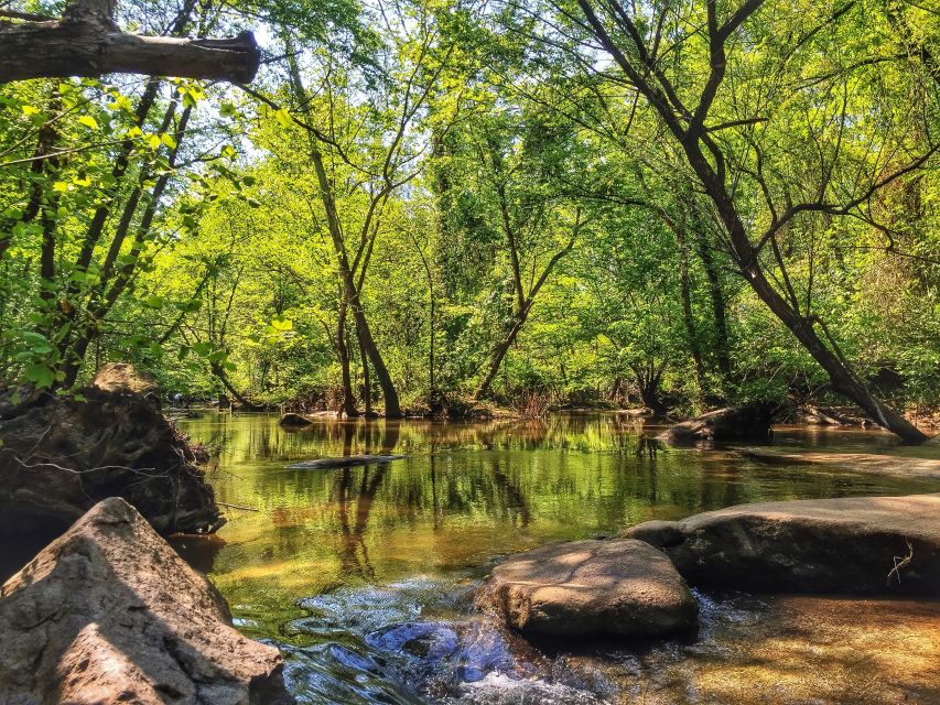Richmond: Guided Hike in James River Park - Belle Isle, where woods meet industrial remains