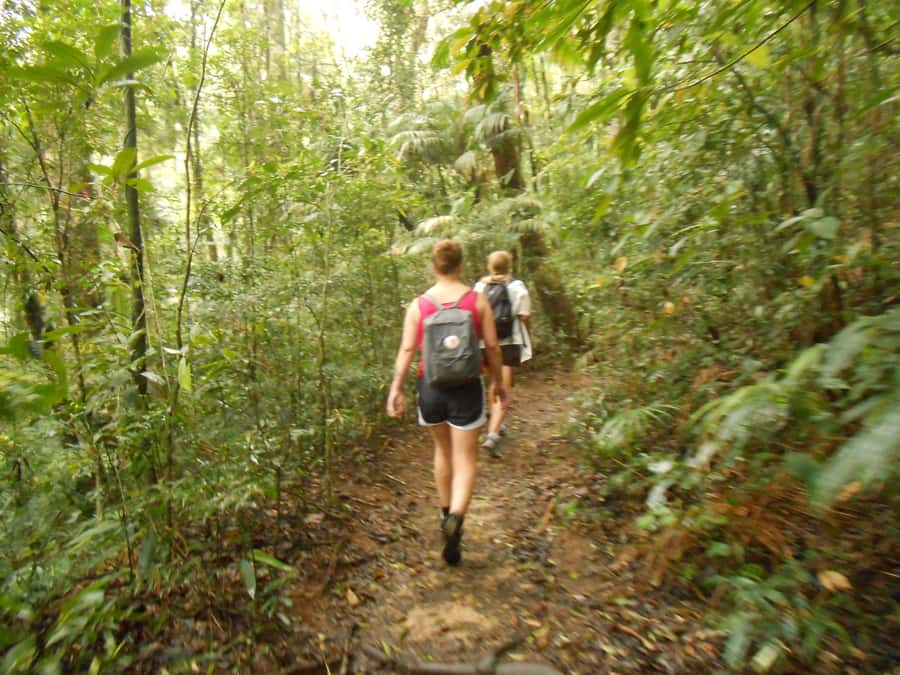 Rio de Janeiro: Christ the Redeemer Guided Hike - Should you book the Parque Lage hike?
