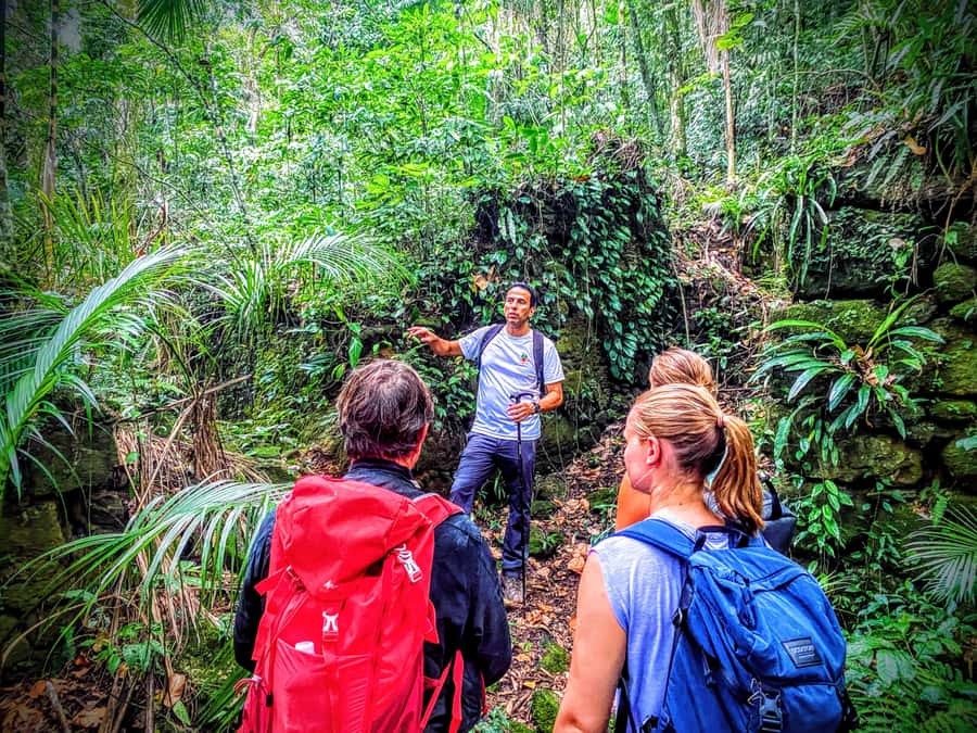 Rio de Janeiro: Tijuca Forest Challenge Hike Full-Day Trip - Is $86 a good value?