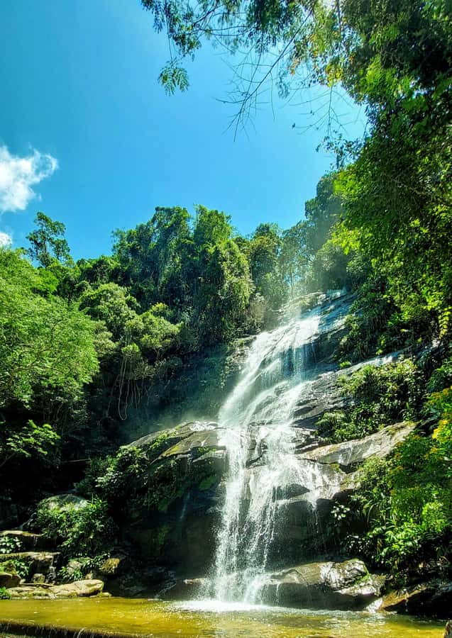 Rio de Janeiro: Tijuca Forest Challenge Hike Full-Day Trip - Reaching Taquara Hill and its two viewpoints