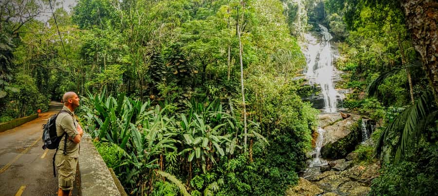 Rio de Janeiro: Tijuca Forest Challenge Hike Full-Day Trip - Coffee-farm ruins and a quieter side of the forest