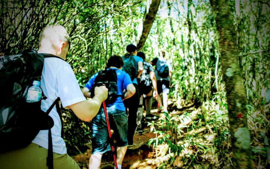 Rio de Janeiro: Tijuca Forest Challenge Hike Full-Day Trip - What the guides add to the day