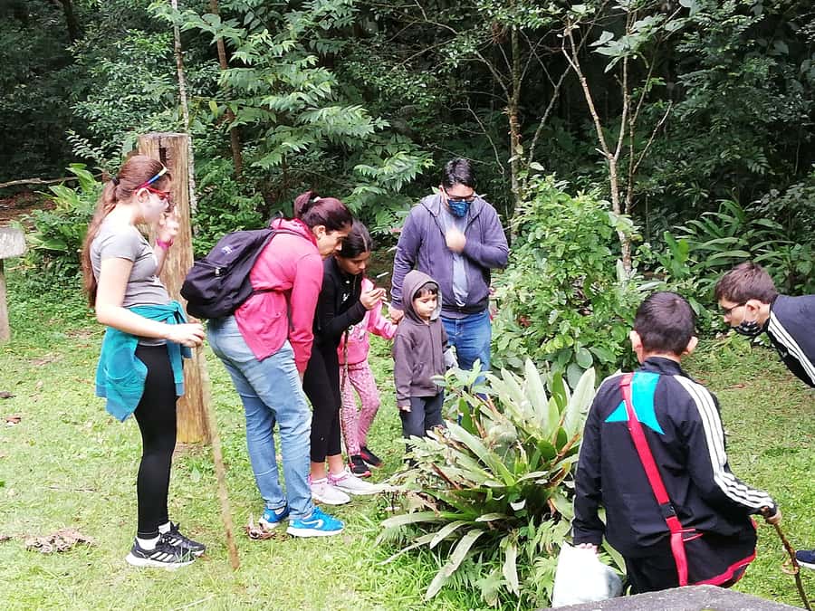 Rio de Janeiro: Tijuca Forest Waterfall of Souls Hike - Key points to know before you go