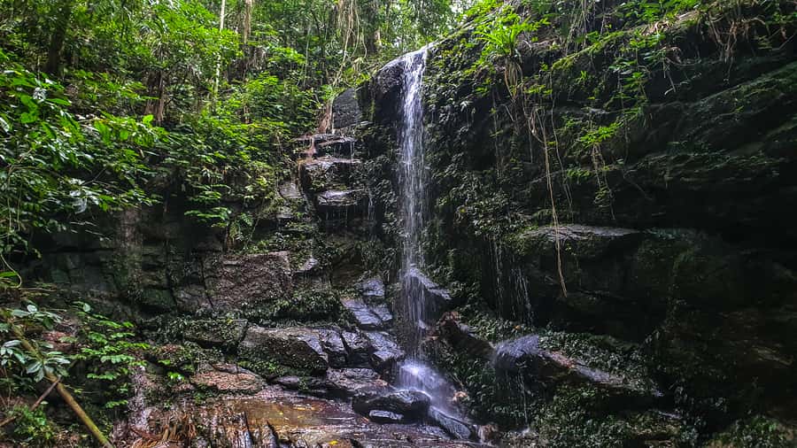 Rio de Janeiro: Tijuca Forest Waterfall of Souls Hike - Following streams through Tijuca National Park