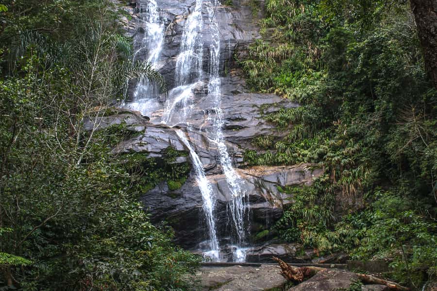 Rio de Janeiro: Tijuca Forest Waterfall of Souls Hike - Starting at Estrada da Cascatinha