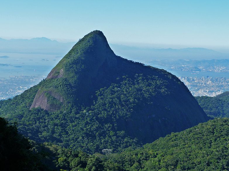 Rio de Janeiro: Tijuca Peak Guided Hike - Key points