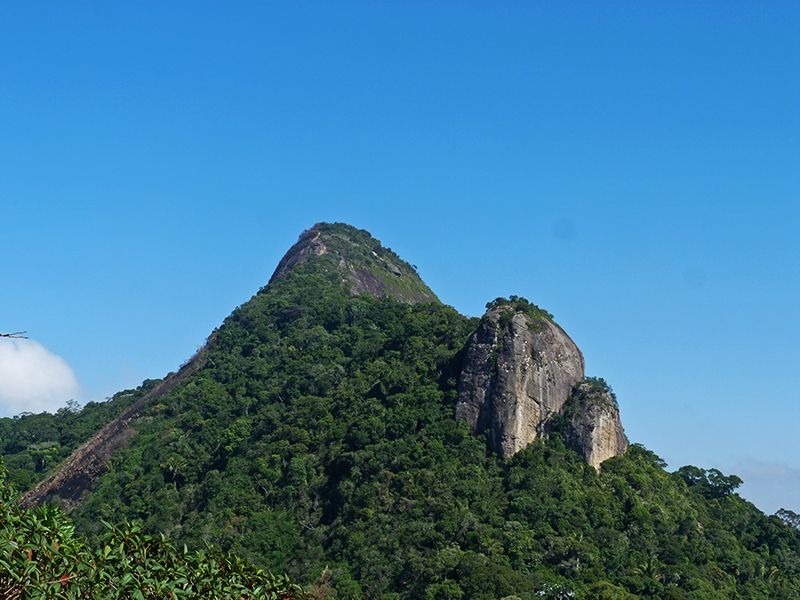 Rio de Janeiro: Tijuca Peak Guided Hike - The Tijuca Mirim viewpoint
