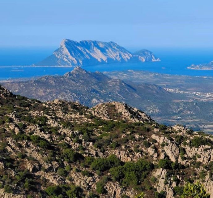 Rio Pitrisconi: Hiking e 4x4 nel Monte Nieddu - Who will enjoy this outing most