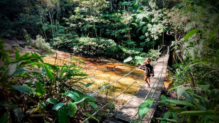 Rio: Tijuca Forest Small Group Hike to Caves and Waterfalls - Key points to know before you go