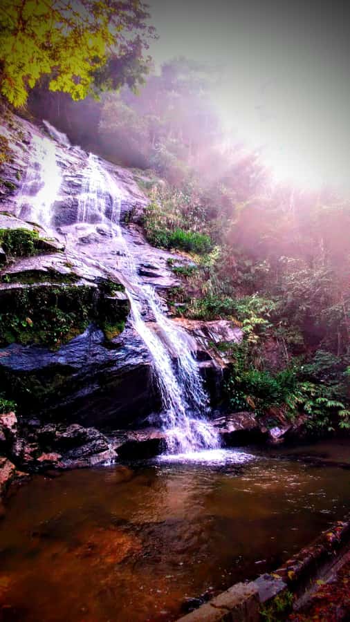 Rio: Tijuca Forest Small Group Hike to Caves and Waterfalls - Pickup, guides, and what to pack