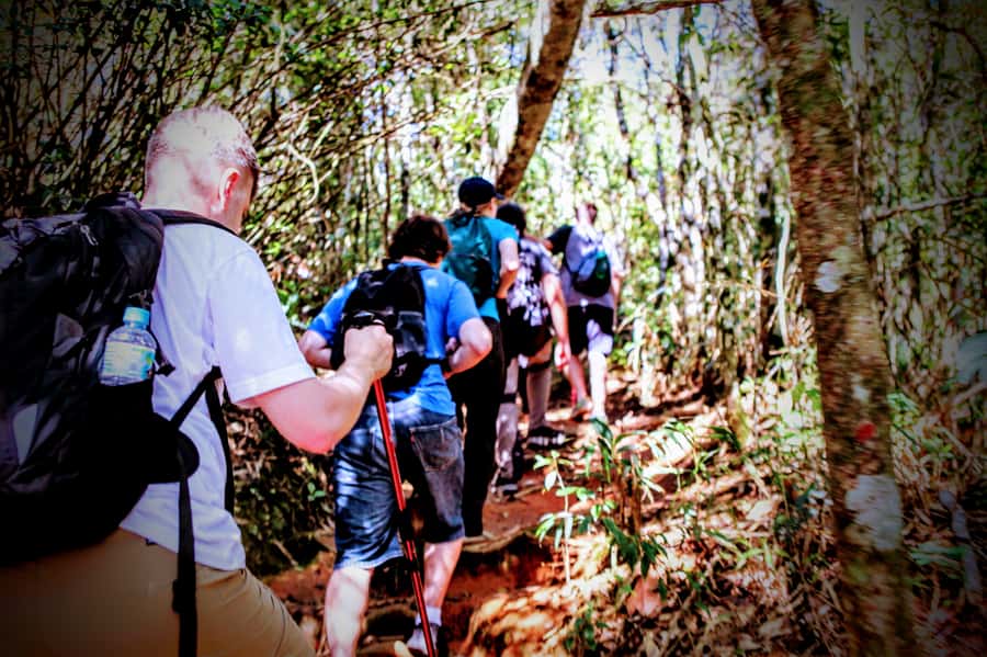 Rio: Tijuca Forest Small Group Hike to Caves and Waterfalls - Baronesa Cascade is the refreshing payoff