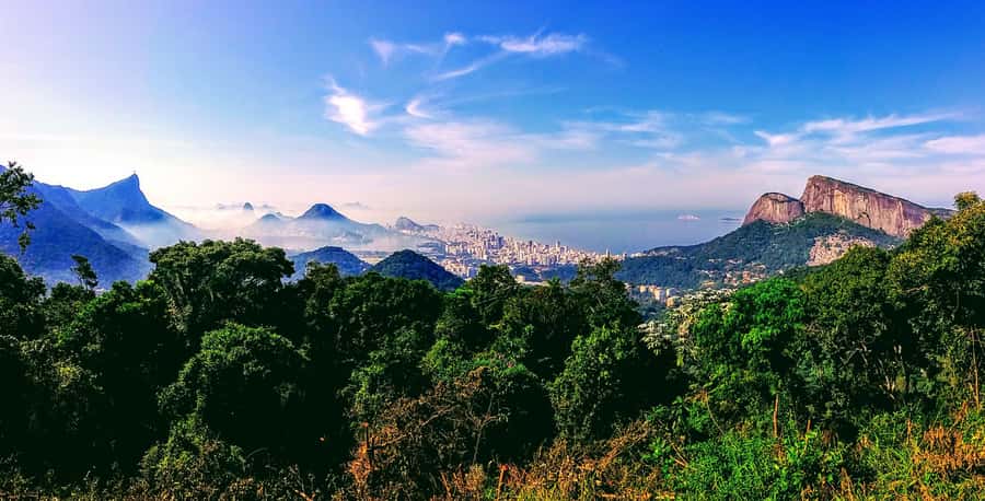 Rio: Tijuca National Park Small-Group Hike to Pedra Bonita - Practical preparation for a comfortable morning