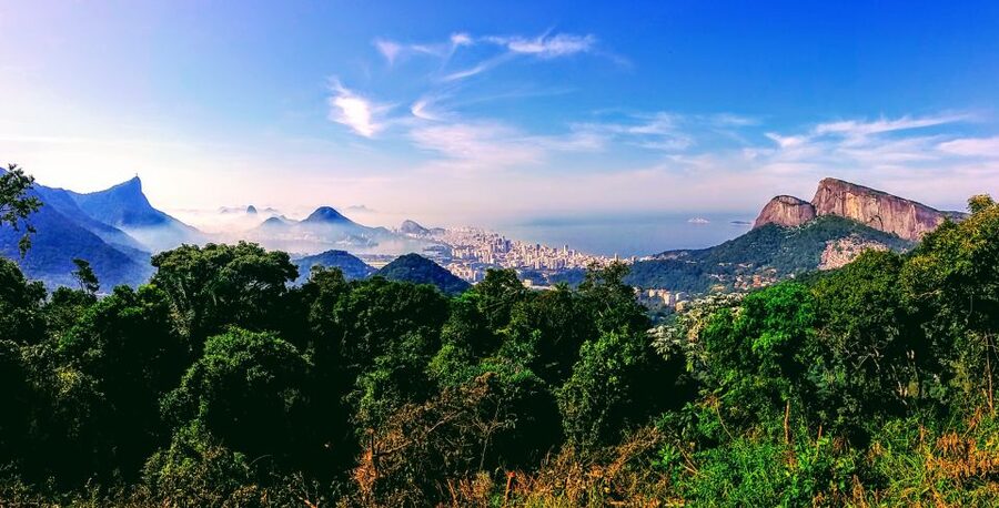 Rio: Tijuca National Park Small-Group Hike to Pedra Bonita - What the $63 price really covers